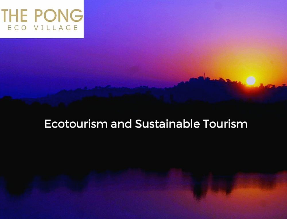 Ecotourism and Sustainable Tourism